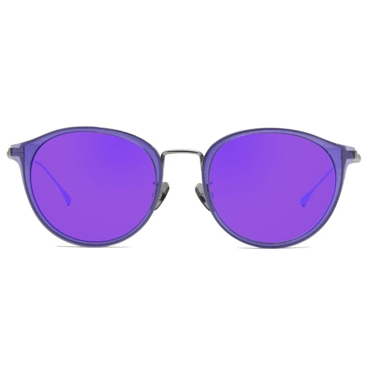 Titanium mirrored purple sunglasses (5)(001)